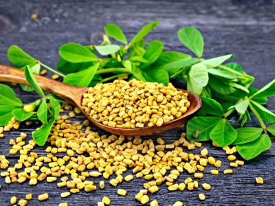 ما هي فوائد الحلبة للطمث (الدورة الشهرية)؟ معلومات تهمك