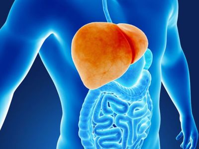 Symptoms and Types of Fatty Liver