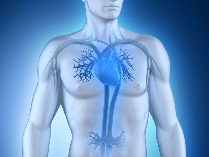 Symptoms of Heart Muscle Weakness