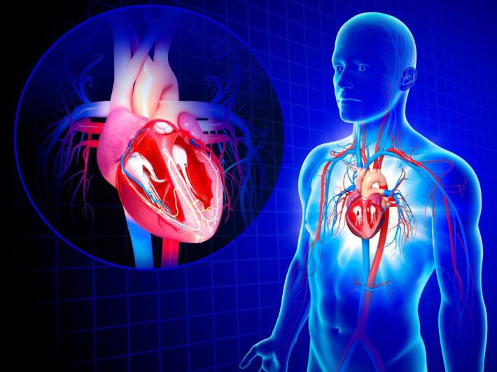 Heart Valve Replacement via Catheter
