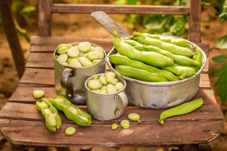 طريقة عمل الفول الأخضر بالطريقة المصرية - المطبخ المصري