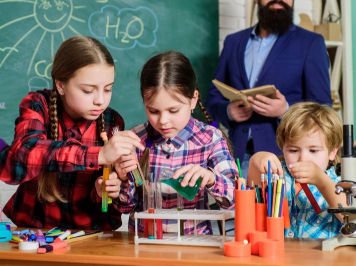 استراتيجية التصنيف في التدريس