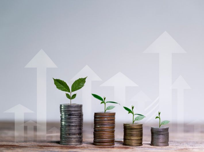 ما المقصود بالعائد على رأس المال؟