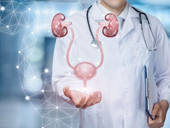 أين تقع غدة البروستاتا؟