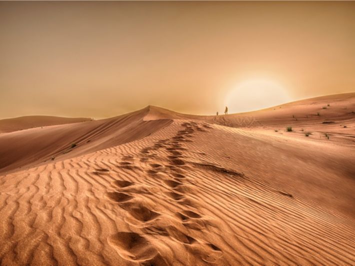 موضوع تعبير عن الصحراء المخيفة