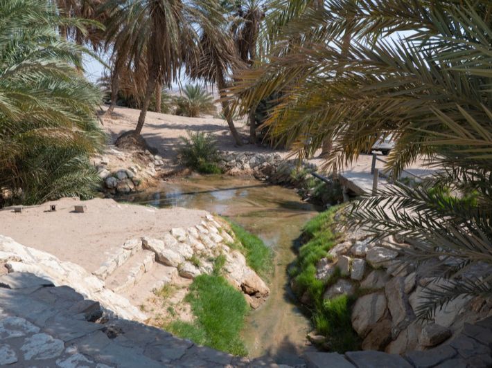 كم عدد ينابيع السعودية؟ اعرف أكثر