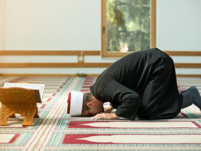 كم نوافل الصلوات؟