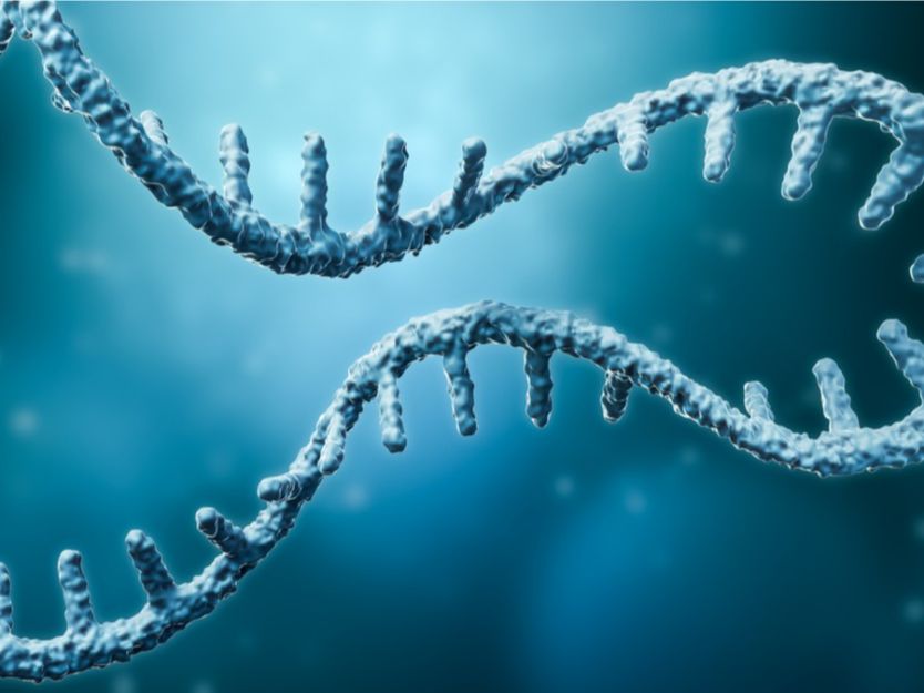 شرح تضاعف الـ DNA - بيولوجيا