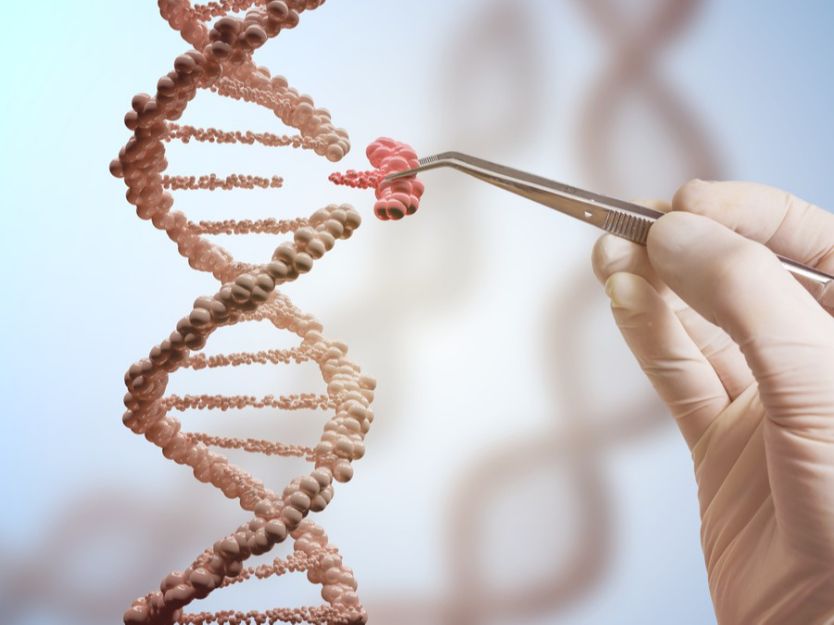 ما الفرق بين DNA وRNA؟