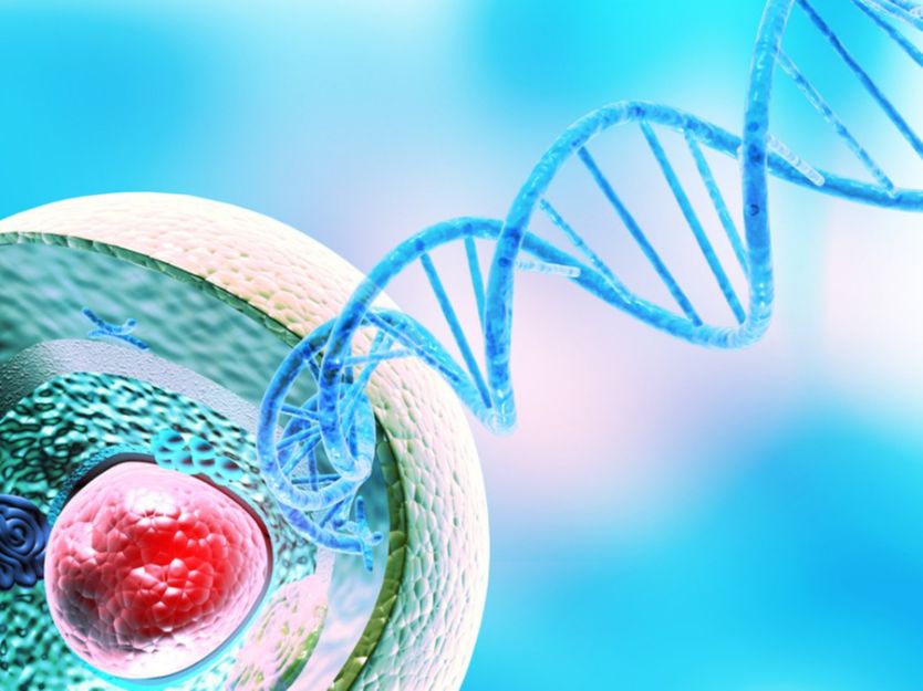 شرح تضاعف الـ DNA - بيولوجيا