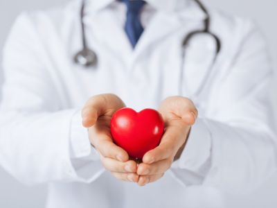 لماذا لا تصاب عضلة القلب بالسرطان؟ لماذا لا تصاب عضلة القلب بالسرطان؟