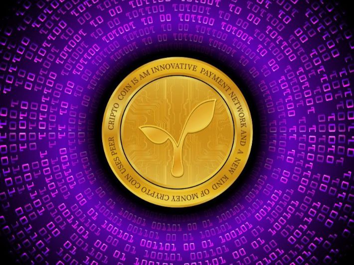 ما هي عملة RAD؟