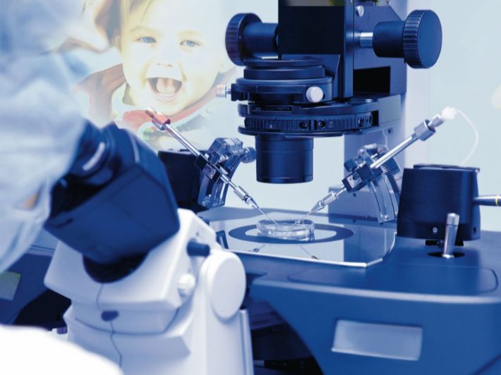 مراحل انقسام البويضة في الحقن المجهري