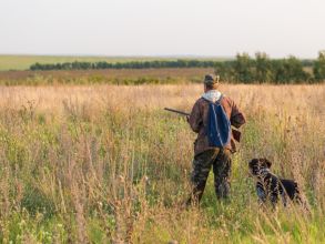 ما هي إيجابيات الصيد البري؟