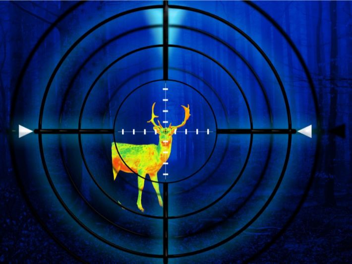 كل ما تحتاج معرفته عن صيد الليل