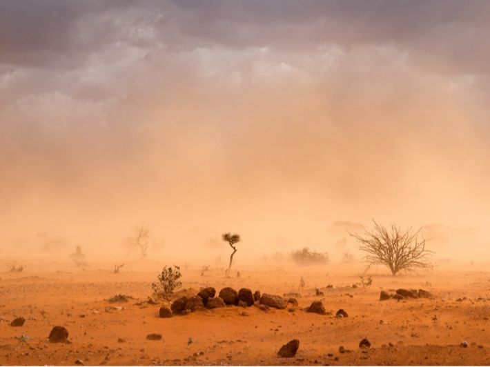 ما المقصود بالعاصفة الرملية وكيف تحدث؟