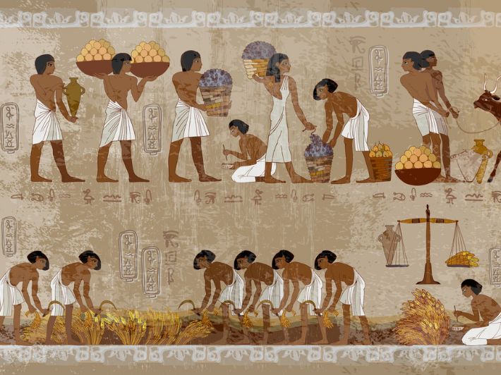 اكتشف العوامل البشرية لقيام الحضارة المصرية