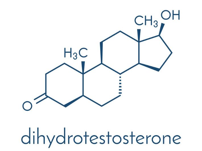 ديهدروتستوستيرون: الوظيفة، الإفراز والمستوى الطبيعي