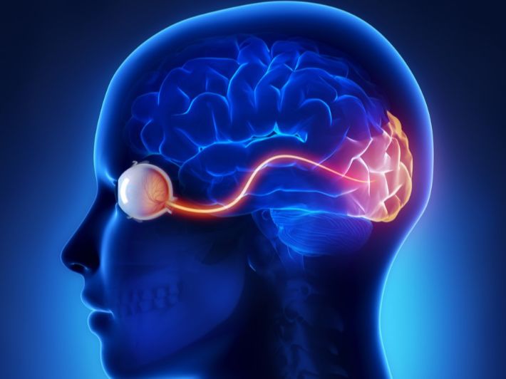 ما هو العصب الذي يقع خلف العين؟