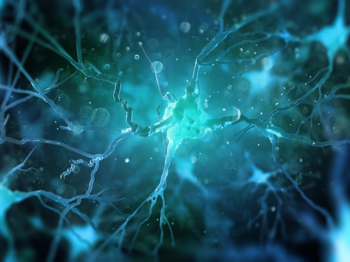 ما هو العصب المختلط؟