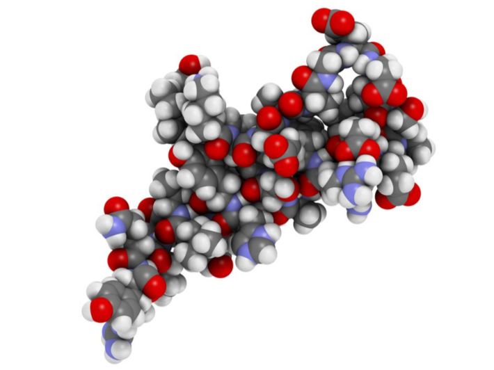 هرمون الببتيد (YY): الوظيفة، الإفراز والمستوى الطبيعي