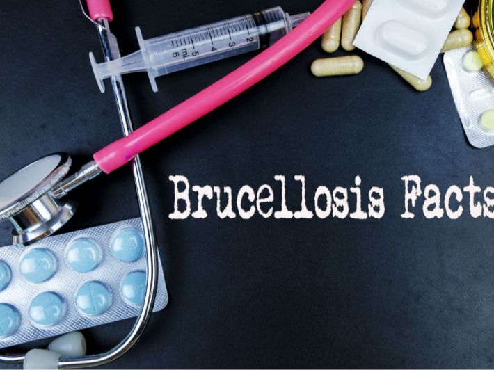 أسباب الحمى المالطية وأعراضها