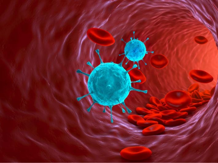 أنواع فيروسات الدم