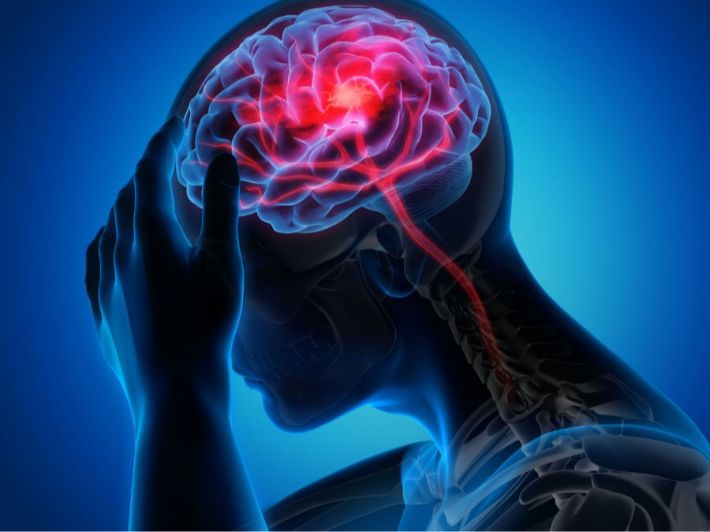 الجزء المسؤول عن التفكير في الدماغ