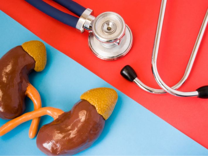 بحث عن ضمور كلية واحدة