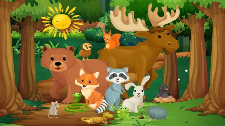 قصة أصدقاء الغابة