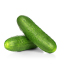 حبة من الخيار متوسطة الحجم.