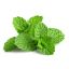 نعناع أخضر.