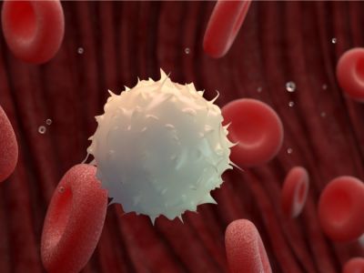 عدد كريات الدم البيضاء عند مرضى الايدز