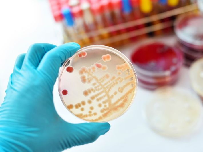 أعراض بكتيريا المكورات العقدية