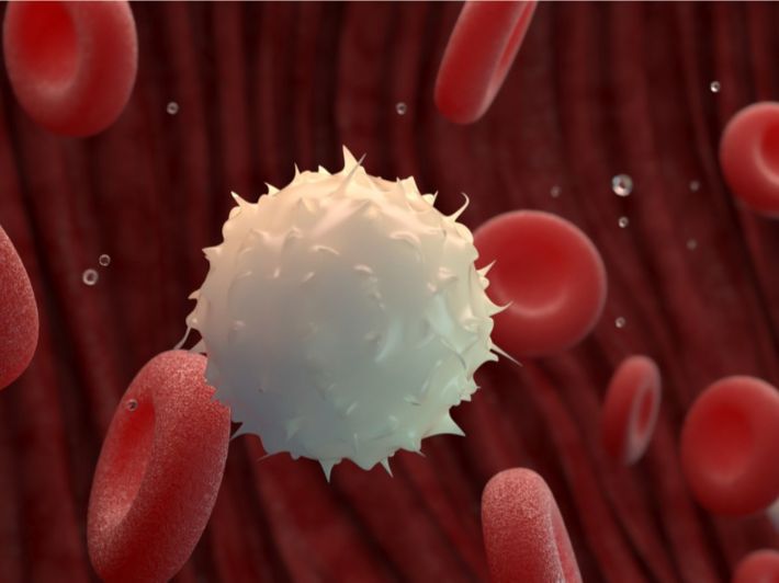 عدد كريات الدم البيضاء عند مرضى الايدز