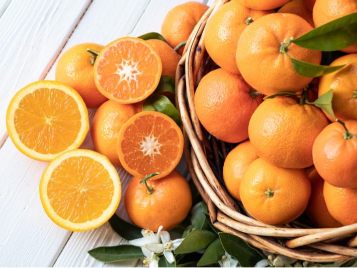 متى تثمر شجرة البرتقال؟