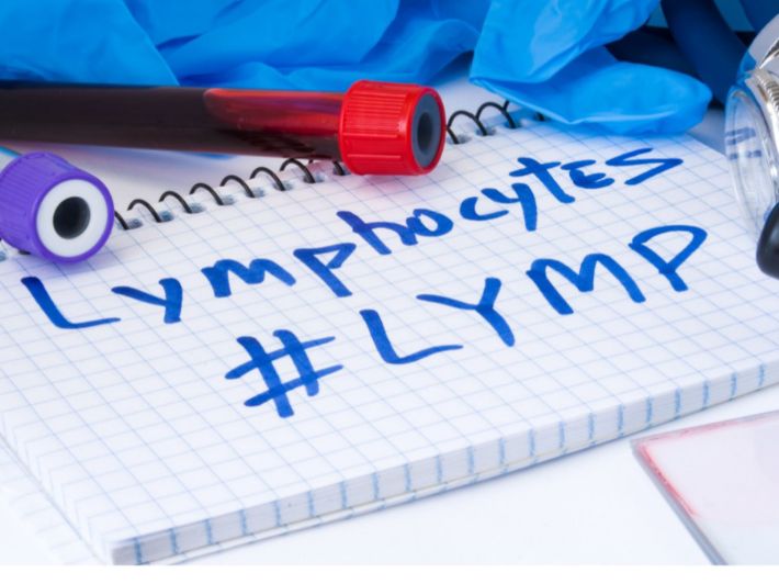 نسبة اللمفاويات الطبيعية في الدم