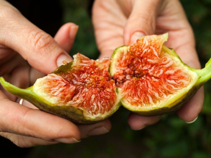 فوائد أكل التين للحامل