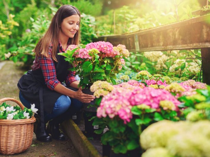 طرق العناية بالنباتات المزهرة في فصل الصيف الحامي