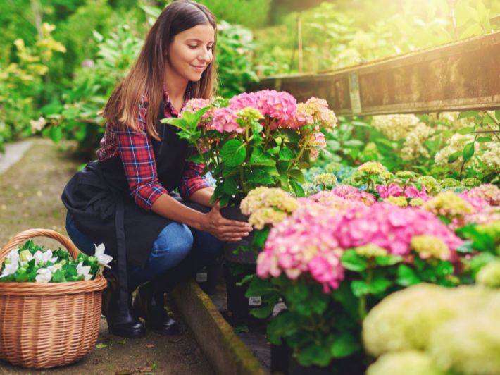 فوائد النباتات الزهرية