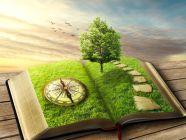 عبارات عن حكمة اليوم