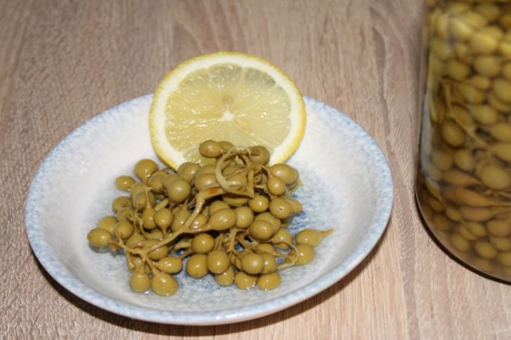 طريقة عمل مخلل الحصرم