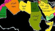 بيكانا بالمشروم