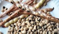 طريقة عمل حبوب اللوبيا على طريقة كريول