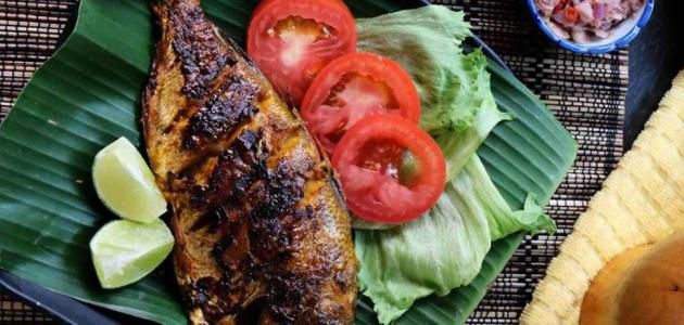 أطباق سمك الهامور