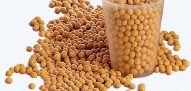 أكلات تكبير الثدي فول الصويا بالعسل