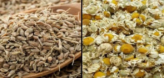أكلات رجيم سموذي الشاي الأخضر