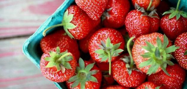 أكلات رجيم موس اللبن بالفراولة