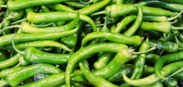 البسباس الأخضر اليمني