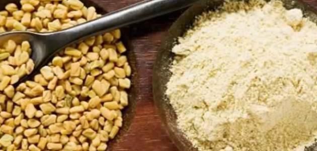 الحلبة المطحونة